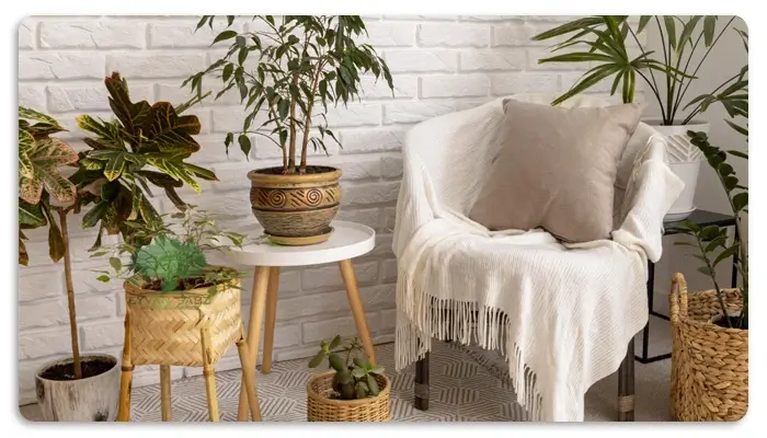 سبک دکوراسیون بوهمیان